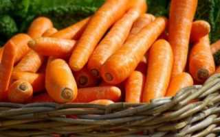 Как правильно сохранить морковь на зиму