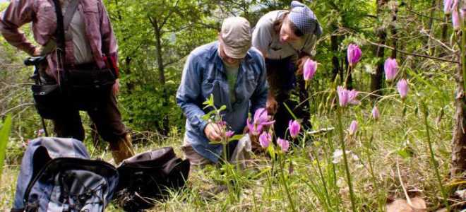 Специальность Экология и природопользование кем работать