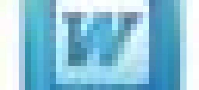 Положение прохождении испытательного срока образец